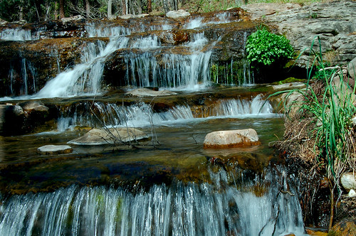 Ponderosa Campground Payson Arizona