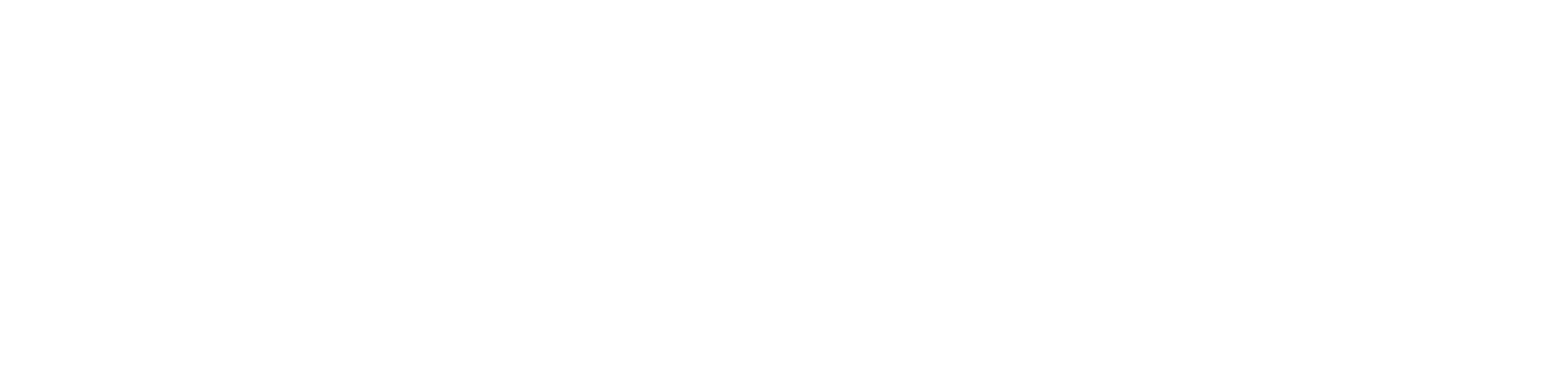 Vixxo - Return to Portfolio